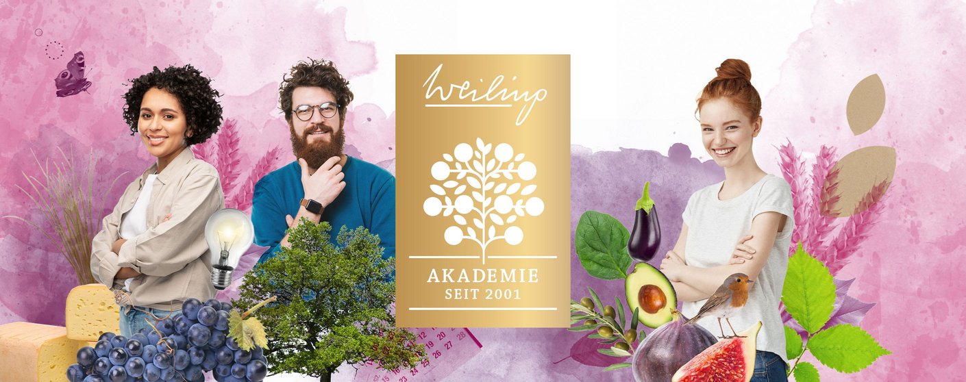 Weiling-Akademie_Header-weiling-de_72