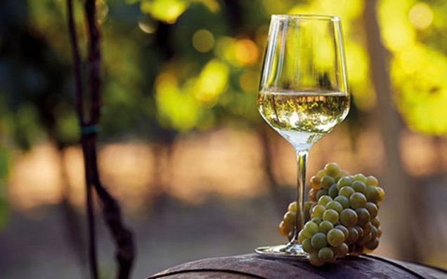 sortiment-wein-01